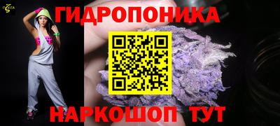 крисы Мариинск