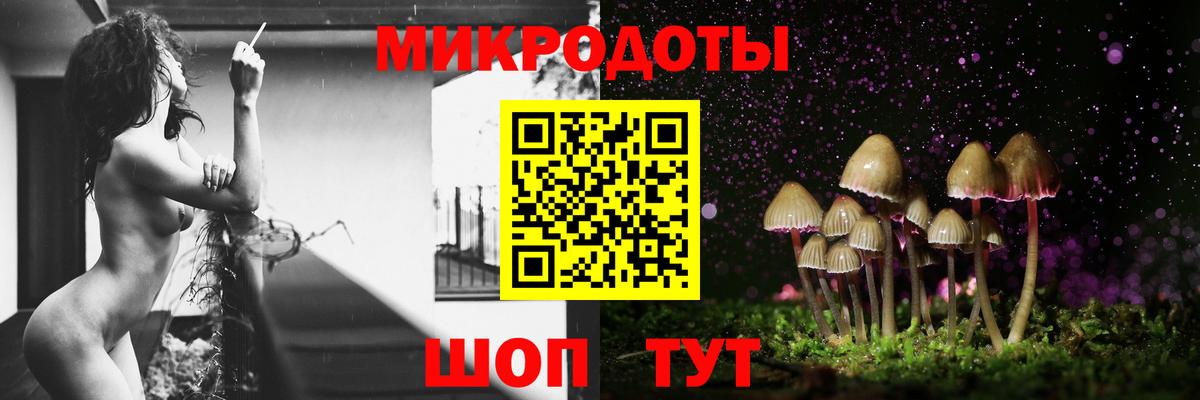 Шали  Галлюциногенные грибы GOLDEN TEACHER  Вход с VPN 